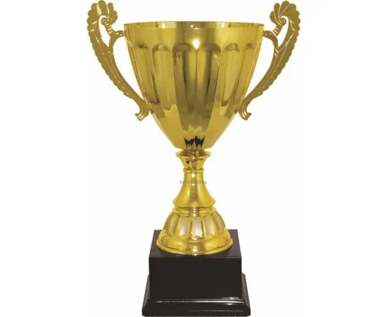 Кубок престижный 3013C (3) с крышкой в интернет-магазине kubki-olimp.ru и cup-olimp.ru Фото 0