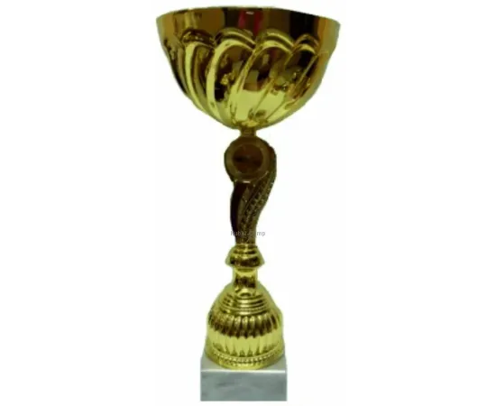 Кубки наградные спортивные K605C в интернет-магазине kubki-olimp.ru и cup-olimp.ru Фото 0