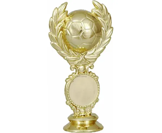 Заказать статуэтку с гравировкой  футбол F40 в интернет-магазине kubki-olimp.ru и cup-olimp.ru Фото 0