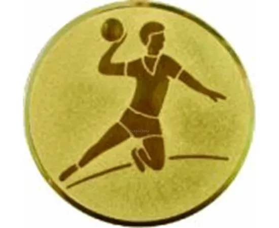 Спортивные вкладыш гандбол D1 a4 в медали на заказ в интернет-магазине kubki-olimp.ru и cup-olimp.ru Фото 0