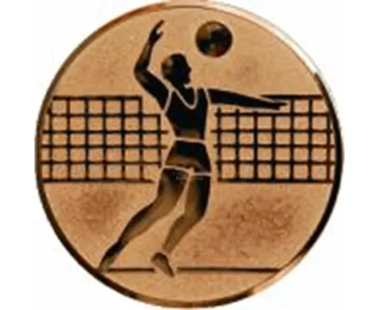 Вкладыш волейбол D2 A6/B в медали спортивные для детей в интернет-магазине kubki-olimp.ru и cup-olimp.ru Фото 0