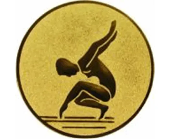 Купить вкладыш гимнастика D2 a88 в медали спортивные оптом в интернет-магазине kubki-olimp.ru и cup-olimp.ru Фото 0