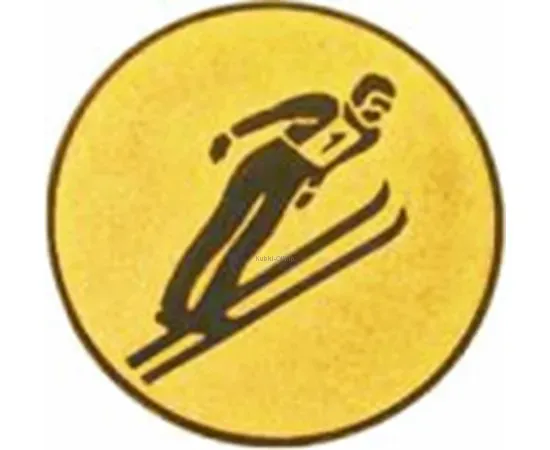 Вкладыш лыжи D2 A95  в медали за места в интернет-магазине kubki-olimp.ru и cup-olimp.ru Фото 0
