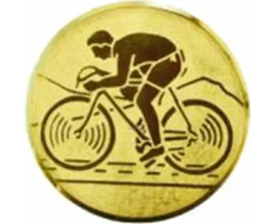 Вкладыш велосипедный D2 A99/G   в медали спортивные для детей в интернет-магазине kubki-olimp.ru и cup-olimp.ru Фото 0