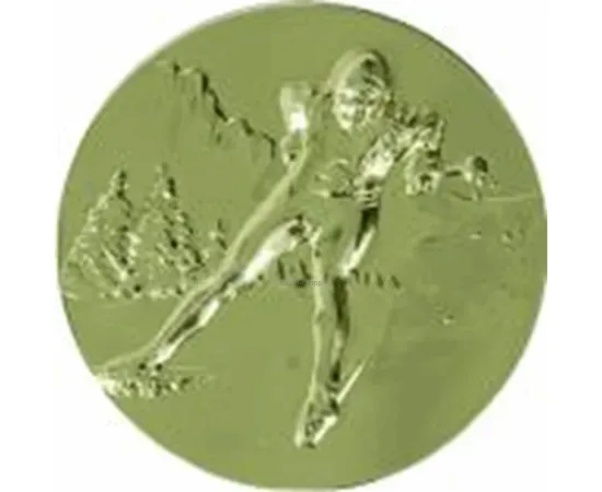 Спортивные вкладыш лыжи d09 b28 в медали и cup-olimp.ru в интернет-магазине kubki-olimp.ru и cup-olimp.ru Фото 0