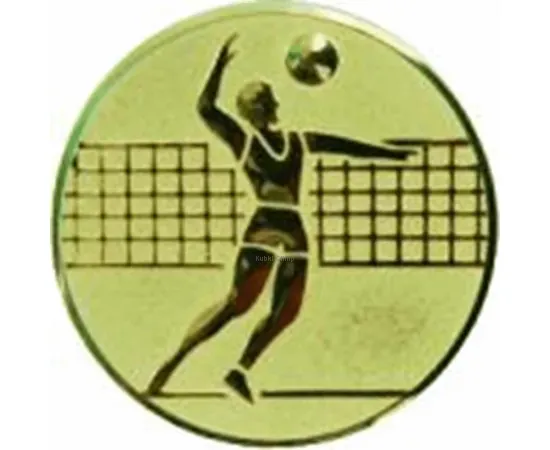 Купить вкладыш волейбол am2-19-g в медали спортивные оптом в интернет-магазине kubki-olimp.ru и cup-olimp.ru Фото 0