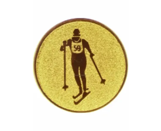 Купить вкладыш лыжи D2 a148 в медали спортивные для награждения в интернет-магазине kubki-olimp.ru и cup-olimp.ru Фото 0