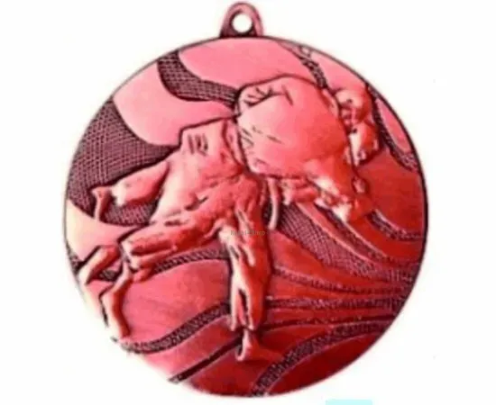 медаль за спортивные успехи дзюдо DZ2550AB в интернет-магазине kubki-olimp.ru и cup-olimp.ru Фото 0