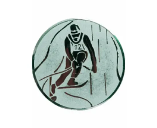 Купить вкладыш лыжи a93S в медаль за спортивные достижения в интернет-магазине kubki-olimp.ru и cup-olimp.ru Фото 0