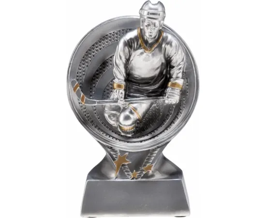 Заказать статуэтку с гравировкой  хоккей RS601K в интернет-магазине kubki-olimp.ru и cup-olimp.ru Фото 0