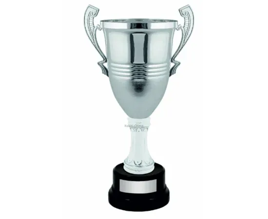 Заказать кубок с гравировкой D2289B в интернет-магазине kubki-olimp.ru и cup-olimp.ru Фото 0