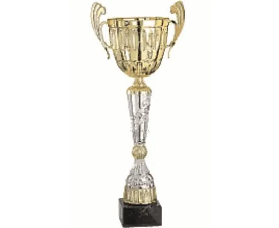 Кубок с надписью на заказ R4015D в интернет-магазине kubki-olimp.ru и cup-olimp.ru Фото 0