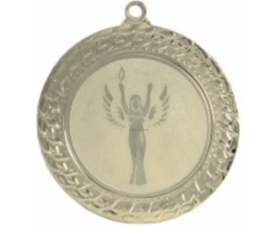 медаль за спортивные достижения MC2072K G в интернет-магазине kubki-olimp.ru и cup-olimp.ru Фото 0