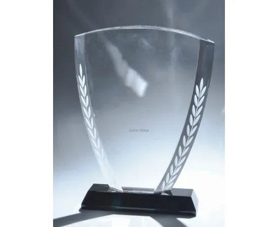 Награды из стекла и cup-olimp.ru сувенир из стекла 26 в интернет-магазине kubki-olimp.ru и cup-olimp.ru Фото 0