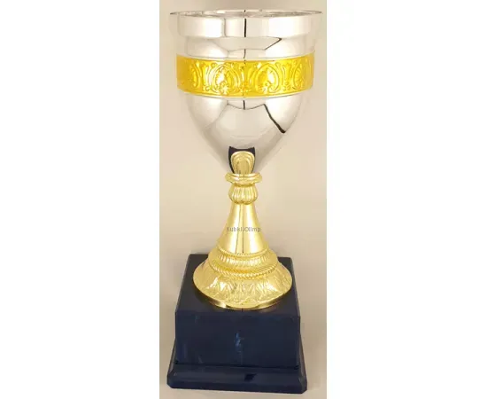Кубок Ф 5228C (3), Цвет: золото/серебро, Высота кубка, см.: 30, Диаметр чаши, мм.: 120, фото , изображение 2
