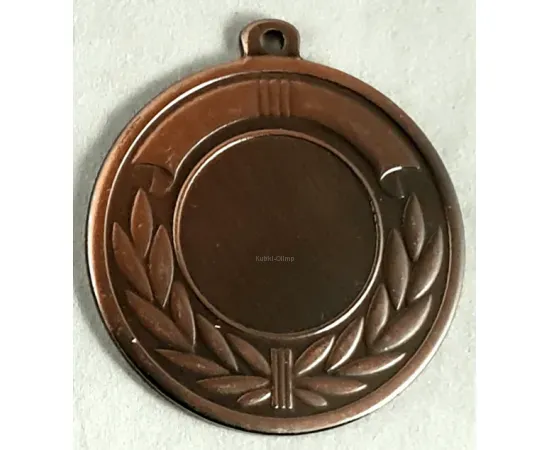 Медаль L111 G, Цвет медали: бронза, Диаметр вкладыша, мм.: 25, Диаметр медали, мм.: 50, фото 