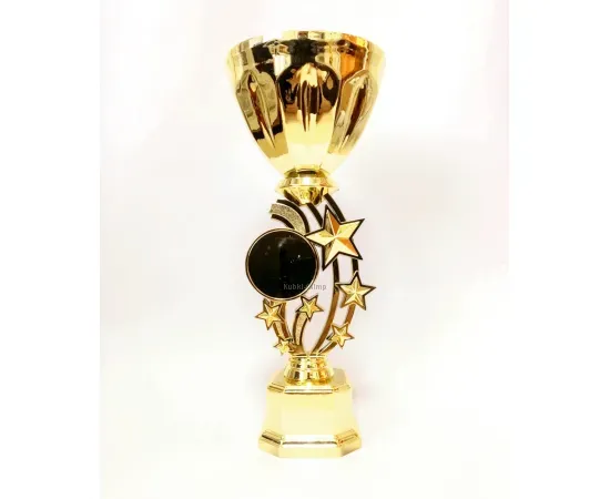 Кубок C6003.3, Цвет: золото, Высота кубка, см.: 24.5, Диаметр чаши, мм.: 80, фото 
