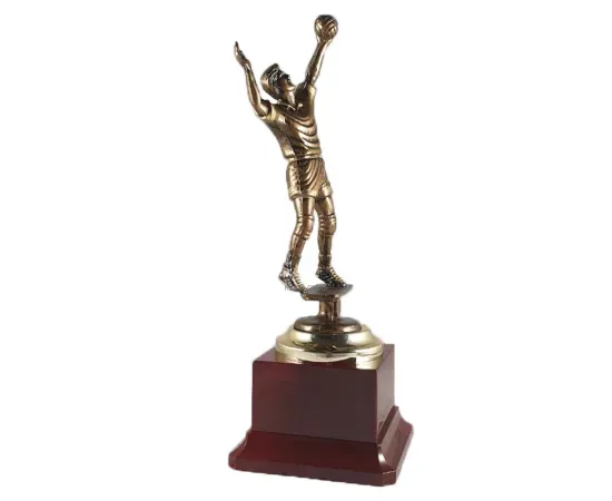 Фигурка волейбол RF2307, Цвет пластиковых статуэток: бронза, Высота статуэтки, см.: 23.5, фото 