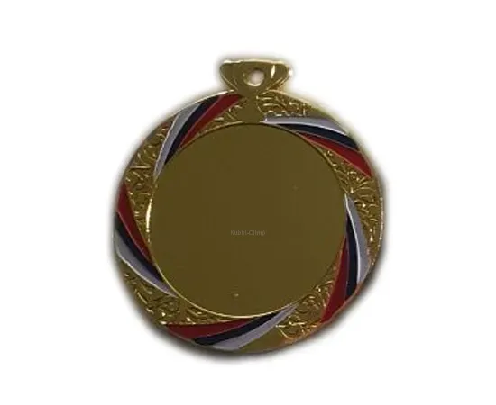 Медаль РУС 719 G (70мм), Цвет медали: золото, фото , изображение 3