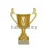 Наградной кубок с надписью  P141A-G (1) без крышки в интернет-магазине kubki-olimp.ru и cup-olimp.ru Фото 0
