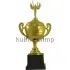 Кубок за второе место P701C-G (3) в интернет-магазине kubki-olimp.ru и cup-olimp.ru Фото 0