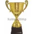 Сувенирные кубки с гравировкой РОССИЯ H (8) в интернет-магазине kubki-olimp.ru и cup-olimp.ru Фото 0