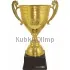 Кубок подарочный с гравировкой РОССИЯ F (6) в интернет-магазине kubki-olimp.ru и cup-olimp.ru Фото 0