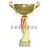 Кубок с гравировкой на заказ и cup-olimp.ru Кубок 7119E (5) в интернет-магазине kubki-olimp.ru и cup-olimp.ru Фото 0
