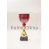 Надпись на кубке победителя соревнований наградной C6001 RD B в интернет-магазине kubki-olimp.ru и cup-olimp.ru Фото 0