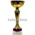 Купить золотистый кубок K703B в интернет-магазине kubki-olimp.ru и cup-olimp.ru Фото 0