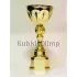 Купить подарочные кубки AN227G-C в интернет-магазине kubki-olimp.ru и cup-olimp.ru Фото 0