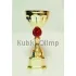 Подарочный кубок AN227RD в интернет-магазине kubki-olimp.ru и cup-olimp.ru Фото 1