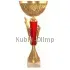 Кубки наградные спортивные 4137D в интернет-магазине kubki-olimp.ru и cup-olimp.ru Фото 0