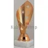 Заказать кубок с гравировкой P12B в интернет-магазине kubki-olimp.ru и cup-olimp.ru Фото 0