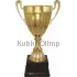 Заказать кубок с гравировкой 3031D (4) в интернет-магазине kubki-olimp.ru и cup-olimp.ru Фото 0