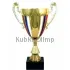 Кубок призовой 3070C (3) в интернет-магазине kubki-olimp.ru и cup-olimp.ru Фото 0