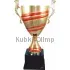 Заказать кубок с надписью 1016F (6) в интернет-магазине kubki-olimp.ru и cup-olimp.ru Фото 0