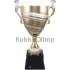 Подарочный кубок 1024 в интернет-магазине kubki-olimp.ru и cup-olimp.ru Фото 3