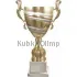 Купить спортивный кубок 1025F (6) в интернет-магазине kubki-olimp.ru и cup-olimp.ru Фото 0