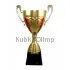 Купить в магазине медалей, кубков и наградной продукции кубок 1034b (2) в интернет-магазине kubki-olimp.ru и cup-olimp.ru Фото 0