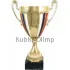 Сувенирный кубок 3072D (4) в интернет-магазине kubki-olimp.ru и cup-olimp.ru Фото 0