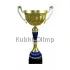 Сделать гравировку на кубке 3086G (7) в интернет-магазине kubki-olimp.ru и cup-olimp.ru Фото 0