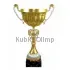 Подарочный кубок 3088 в интернет-магазине kubki-olimp.ru и cup-olimp.ru Фото 0
