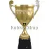 Заказать кубок с надписью 1009D (4) в интернет-магазине kubki-olimp.ru и cup-olimp.ru Фото 0