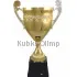 Заказать кубок с надписью 1009D (4) в интернет-магазине kubki-olimp.ru и cup-olimp.ru Фото 0
