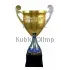 Наградной кубок с надписью 1010D (4) в интернет-магазине kubki-olimp.ru и cup-olimp.ru Фото 0