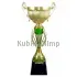 Сувенирный кубок 3102D (4) в интернет-магазине kubki-olimp.ru и cup-olimp.ru Фото 0