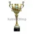 Заказать кубок с гравировкой 3105B (2) в интернет-магазине kubki-olimp.ru и cup-olimp.ru Фото 0