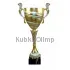 Заказать кубок с гравировкой 3105C (3) в интернет-магазине kubki-olimp.ru и cup-olimp.ru Фото 0