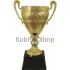 Заказать кубок с гравировкой 3110E (5) в интернет-магазине kubki-olimp.ru и cup-olimp.ru Фото 0
